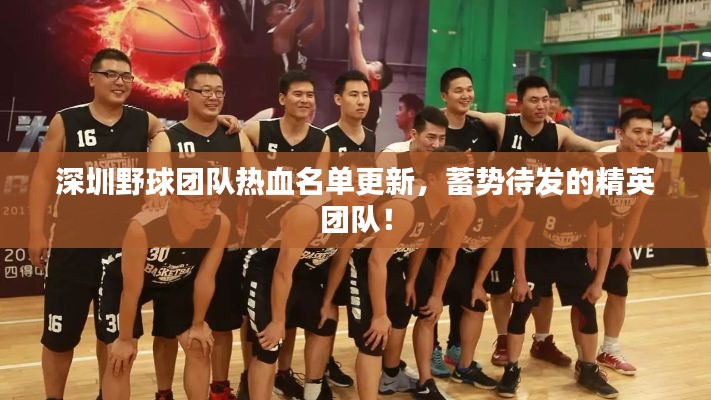 深圳野球團(tuán)隊(duì)熱血名單更新，蓄勢(shì)待發(fā)的精英團(tuán)隊(duì)！