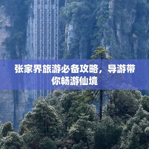 張家界旅游必備攻略，導(dǎo)游帶你暢游仙境