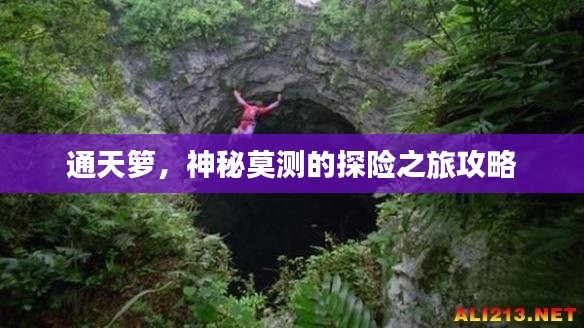 通天籮，神秘莫測的探險之旅攻略