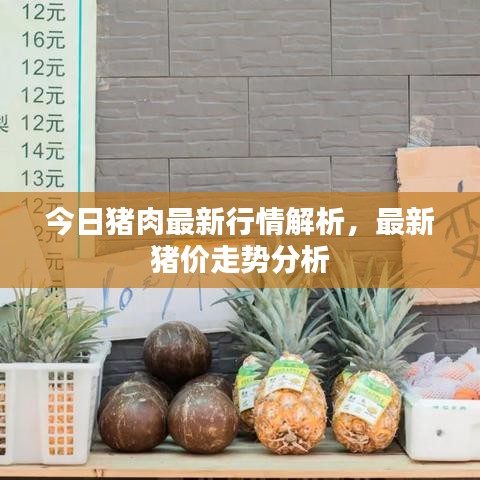 今日豬肉最新行情解析，最新豬價(jià)走勢(shì)分析