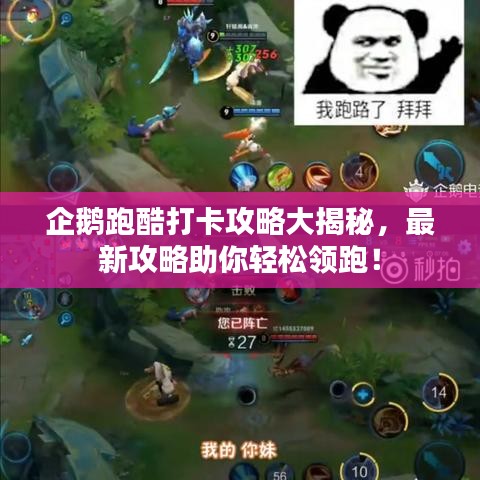 企鵝跑酷打卡攻略大揭秘，最新攻略助你輕松領跑！