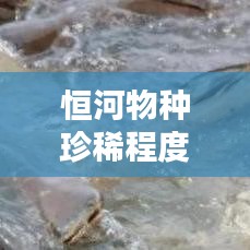 一張一弛 第2頁