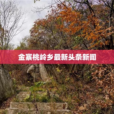 聯(lián)系我們 第200頁