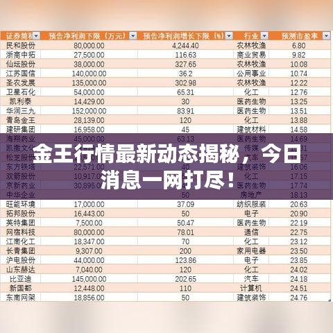 金王行情最新動(dòng)態(tài)揭秘，今日消息一網(wǎng)打盡！