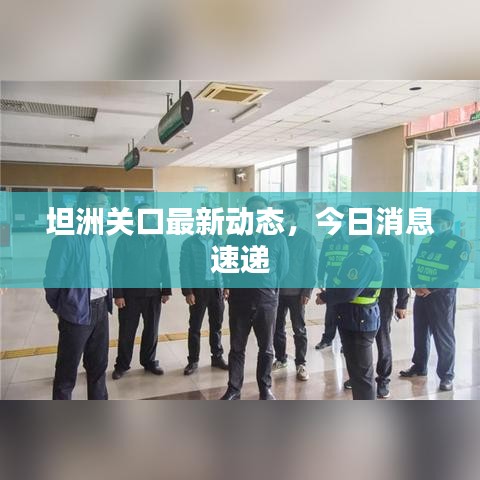 坦洲關(guān)口最新動態(tài)，今日消息速遞