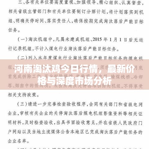 河南淘汰雞今日行情，最新價(jià)格與深度市場(chǎng)分析