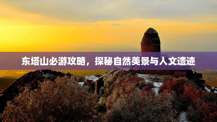 東塔山必游攻略，探秘自然美景與人文遺跡