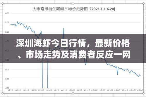 深圳海蝦今日行情，最新價格、市場走勢及消費者反應(yīng)一網(wǎng)打盡