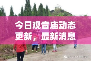 今日觀音廟動態(tài)更新，最新消息一覽
