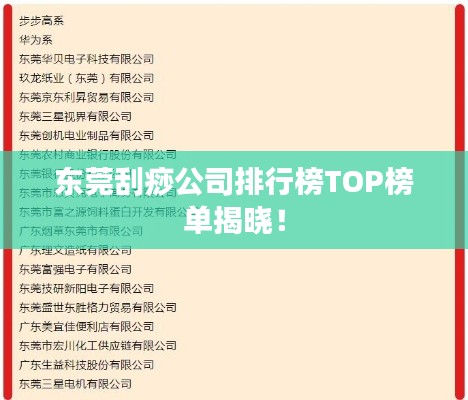 東莞刮痧公司排行榜TOP榜單揭曉！