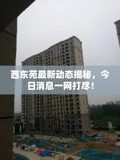 西東苑最新動態(tài)揭秘，今日消息一網(wǎng)打盡！
