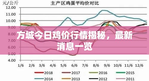 方城今日雞價(jià)行情揭秘，最新消息一覽