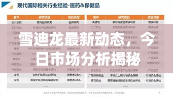 雪迪龍最新動態(tài)，今日市場分析揭秘