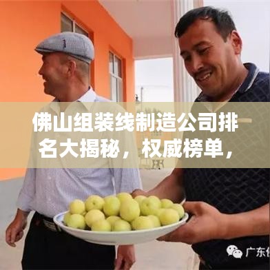 佛山組裝線制造公司排名大揭秘，權(quán)威榜單，行業(yè)巨頭一網(wǎng)打盡！