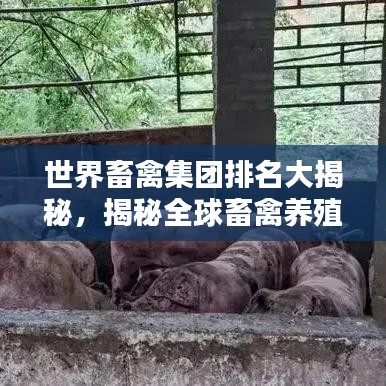 世界畜禽集團(tuán)排名大揭秘，揭秘全球畜禽養(yǎng)殖巨頭榜單