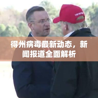 得州病毒最新動態(tài)，新聞報道全面解析