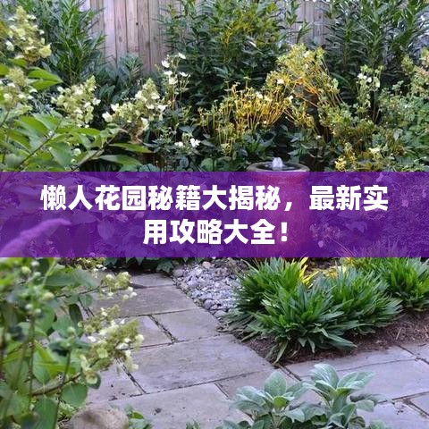 懶人花園秘籍大揭秘，最新實(shí)用攻略大全！