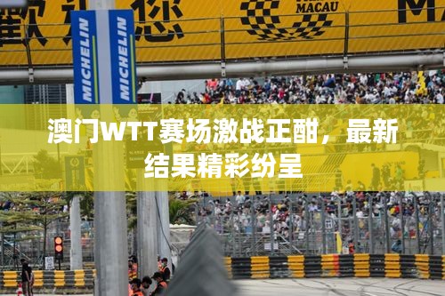 澳門WTT賽場(chǎng)激戰(zhàn)正酣，最新結(jié)果精彩紛呈
