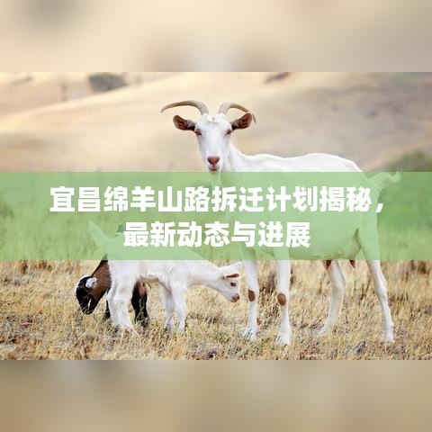 宜昌綿羊山路拆遷計劃揭秘，最新動態(tài)與進(jìn)展