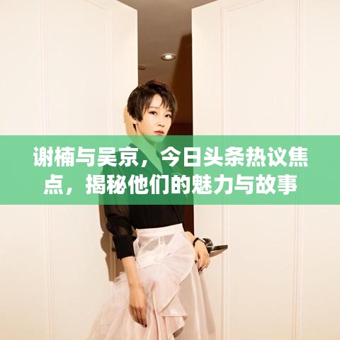 謝楠與吳京，今日頭條熱議焦點(diǎn)，揭秘他們的魅力與故事