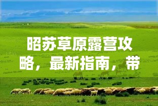 昭蘇草原露營攻略，最新指南，帶你玩轉(zhuǎn)草原露營！