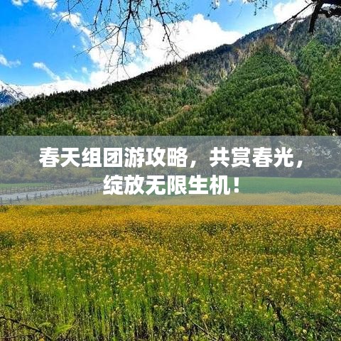 春天組團游攻略，共賞春光，綻放無限生機！