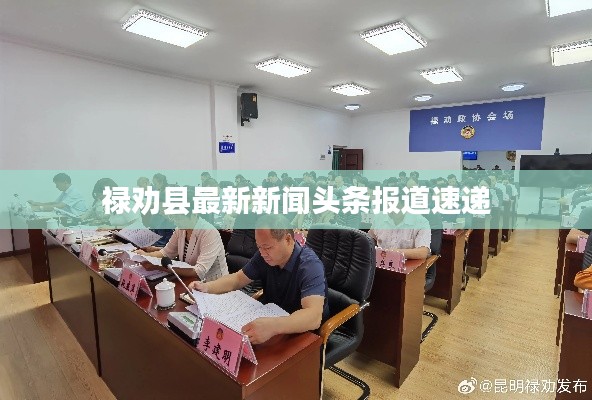 祿勸縣最新新聞?lì)^條報(bào)道速遞