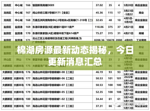 棉湖房源最新動態(tài)揭秘，今日更新消息匯總