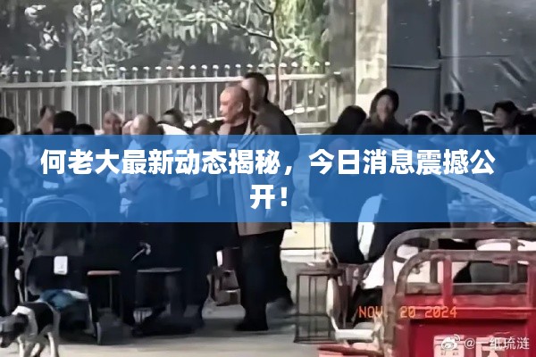 何老大最新動態(tài)揭秘，今日消息震撼公開！
