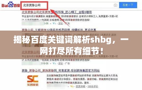 揭秘百度關(guān)鍵詞解析shbg，一網(wǎng)打盡所有細節(jié)！