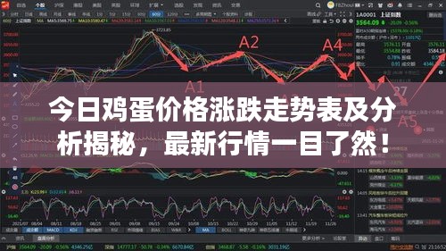 今日雞蛋價格漲跌走勢表及分析揭秘，最新行情一目了然！