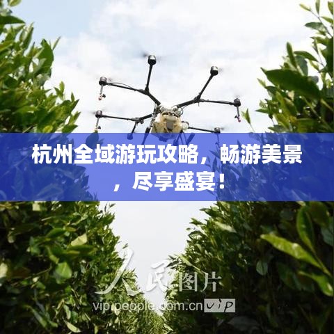 杭州全域游玩攻略，暢游美景，盡享盛宴！
