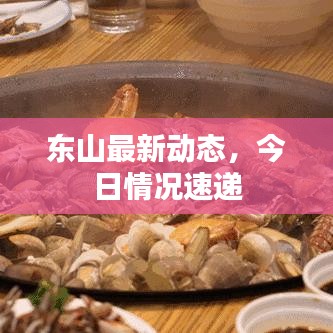東山最新動(dòng)態(tài)，今日情況速遞
