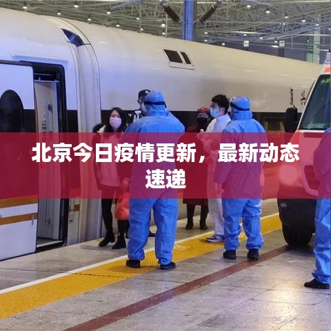北京今日疫情更新，最新動態(tài)速遞