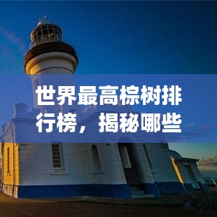 世界最高棕樹(shù)排行榜，揭秘哪些棕樹(shù)高聳入云！