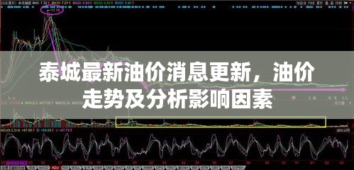 泰城最新油價消息更新，油價走勢及分析影響因素