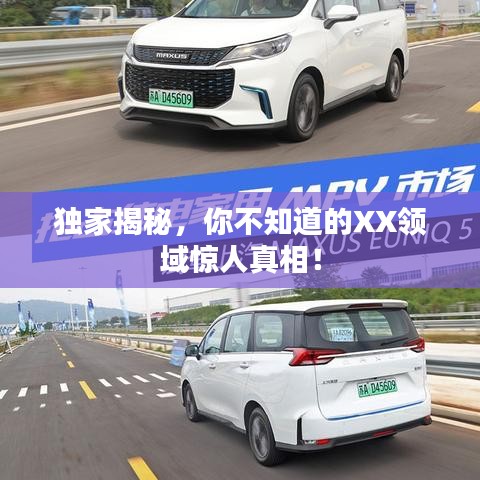 獨(dú)家揭秘，你不知道的XX領(lǐng)域驚人真相！