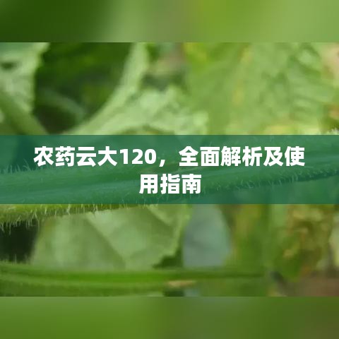 間不容發(fā) 第3頁(yè)