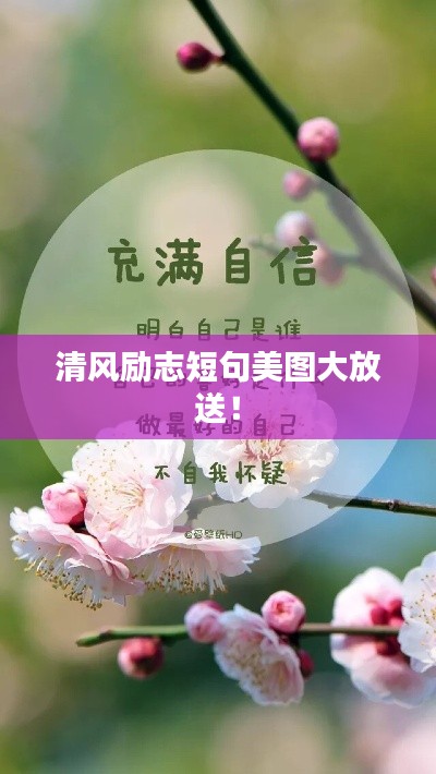 清風(fēng)勵(lì)志短句美圖大放送！
