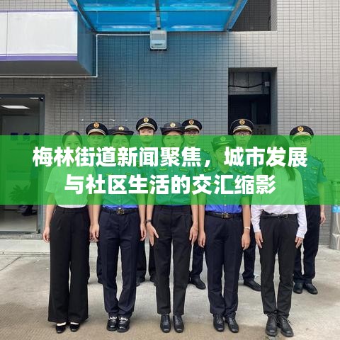 梅林街道新聞聚焦，城市發(fā)展與社區(qū)生活的交匯縮影