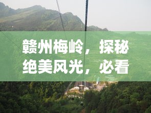 贛州梅嶺，探秘絕美風(fēng)光，必看的旅游攻略！