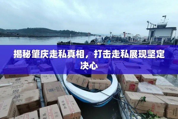 揭秘肇慶走私真相，打擊走私展現(xiàn)堅(jiān)定決心