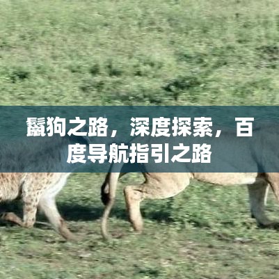 鬣狗之路，深度探索，百度導(dǎo)航指引之路