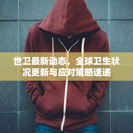 世衛(wèi)最新動態(tài)，全球衛(wèi)生狀況更新與應對策略速遞