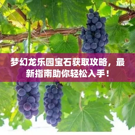 夢幻龍樂園寶石獲取攻略，最新指南助你輕松入手！