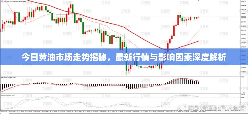 今日黃油市場走勢揭秘，最新行情與影響因素深度解析