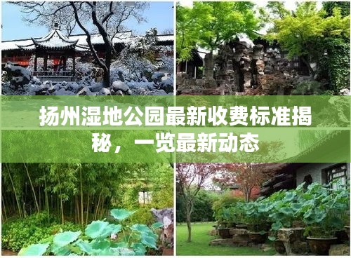 大事夸張 第2頁(yè)