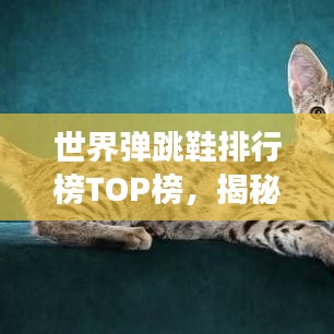 世界彈跳鞋排行榜TOP榜，揭秘彈跳力最強(qiáng)的鞋款！