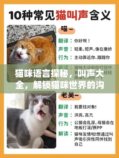 貓咪語言探秘，叫聲大全，解鎖貓咪世界的溝通密碼！
