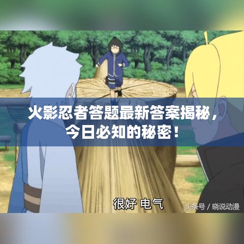 火影忍者答題最新答案揭秘，今日必知的秘密！